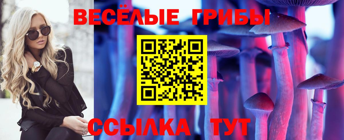 дарнет шоп  Вход с VPN  Долгопрудный  Псилоцибиновые грибы прущие грибы 